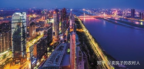 南昌紅谷灘區九龍湖板塊的詳細介紹